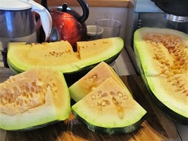 SHIPPED FROM US 100 Tendersweet Orange Watermelon Fruit Melon Seed, LC03 - £11.98 GBP