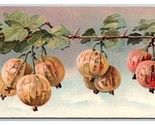 Cluster of Gooseberries on Vine Embossed Gilt UNP DB Postcard Z5 - £3.07 GBP
