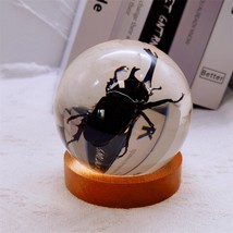 Real Insect Animal Specimen Crystal Sphere Ornaments Scorpion Spider Turtle - £53.64 GBP