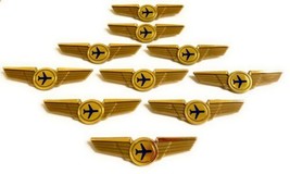 Airlines Pilot Wings 10 Flight Attendant Costumes Gifts Pins - £19.34 GBP