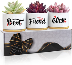 Birthday Gifts for Friends, Birthday Gifts for Women Friendship, Friendship Gift - £13.31 GBP