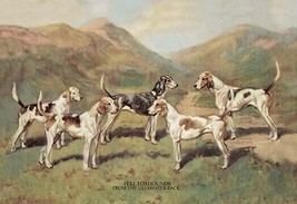 Fell Foxhounds by  Thomas Ivester Lloyd - Art Print - £17.23 GBP+
