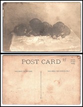 Vintage Postcard - 4 Puppies F28 - £2.28 GBP