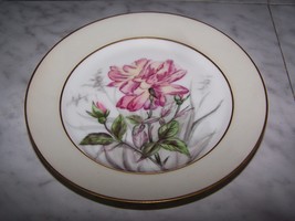 1876-1881 CFH Charles Field Haviland Decorative Desert Dish Plate (Rose) 7.5W - £11.80 GBP