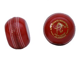 Cricket Skill Coaching Red Leather Cricket Ball - Seam Training for in S... - €20,99 EUR