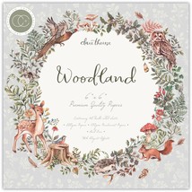 Craft Consortium Double-Sided Paper Pad 6&quot;X6&quot; 40/Pkg-Woodland - $285.70 MXN