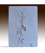 Branch with Leaves - Plant Fossil Cement plaque - $26.96 CAD