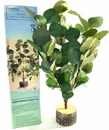 Cenmorise Lighted Tabletop Eucalyptus Tree 18” Tall - $11.23