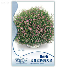 Heirloom Pink Gypsophila Baby&#39;s-breath Cut Flowers, Original Pack, 60 Seeds, fra - £3.57 GBP