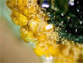 BILLIETITE, VANDENBRANDEITE - Musonoi Mine, Katanga, CONGO - $350.00