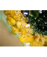 BILLIETITE, VANDENBRANDEITE - Musonoi Mine, Katanga, CONGO - €300,55 EUR