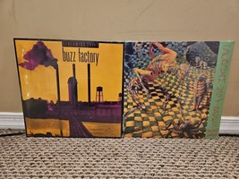 Lot of 2 Screaming Trees Reissue Records: Buzz Factory, Invisible Lantern - £72.13 GBP