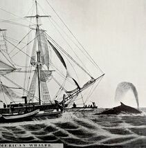 American Whaler At Sea Stowing 1926 Nautical Antique Print Whale Hunting... - $458.41 MXN
