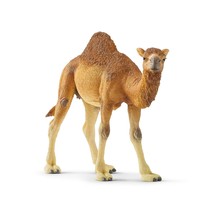 Schleich Wild Life, Realistic Wild Animal Toys for Boys and Girls, Dromedary Cam - £21.28 GBP