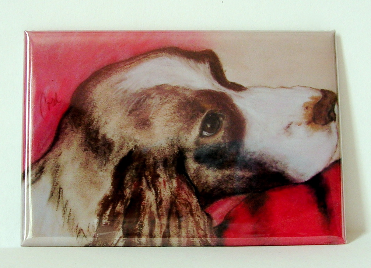 Springer Spaniel Magnet Dog Art Solomon - $6.50