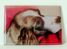 Springer Spaniel Magnet Dog Art Solomon - £5.13 GBP