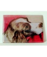 Springer Spaniel Magnet Dog Art Solomon - £5.17 GBP