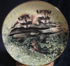 RACCOON &amp; CHIPMUNK collector plate GREG GIORDANO Woodland Encounters RAC... - £15.01 GBP