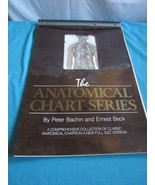 Set of 32 1980s Medical  Skeletal Anatomical Charts Posters Prints Bachi... - $237.45 CAD