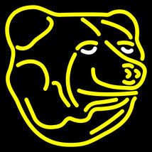 NHL Boston Bruins Logo Neon Sign - £558.74 GBP