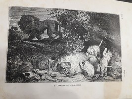 old Engraving Print Historie D´une Ménagerie La Famille , Lions  (Canada) - £13.47 GBP