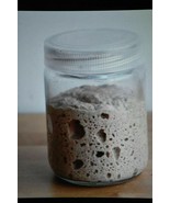 tangy very sour ORIGINAL WHARF SAN FRANCISCO SOURDOUGH STARTER tangy sou... - $10.64 CAD