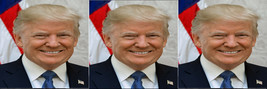 Trump Bookmark # 3 - $3.50