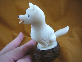 (tne-dog-ge-512b) German Shepherd DOG TAGUA NUT Figurine Carving Vegetable dogs - £21.99 GBP