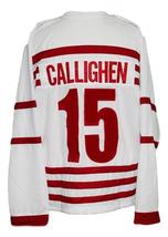 Any Name Number Rochester Cardinals Retro Hockey Jersey White Any Size image 5