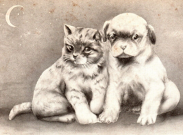 Cute Puppy Dog and Cat Posing By Crescent Moon 1909 V Colby Signed Postcard - $17.10