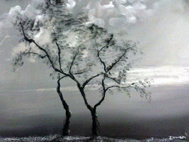 Original 24x36 Black and White Tree Canvas Art Reproduction  - $219.00