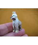 (Y-GIR-35) GIRAFFE African animal gem stone carving SOAPSTONE PERU love ... - $11.78 CAD