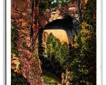 Natural Bridge Rockbridge VA Virginia UNP WB Postcard Y12 - $1.93