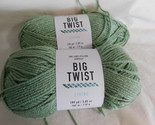 Big Twist Living Sage lot of 2 Dye Lot 191982 - $9.99