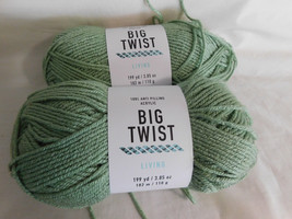 Big Twist Living Sage lot of 2 Dye Lot 191982 - £7.96 GBP