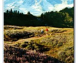 View of Mount Rainier National Park WA UNP Chrome Postcard S12 - £2.33 GBP