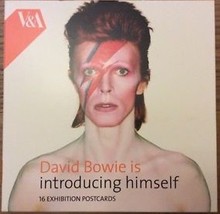 David Bowie Is Ltd Edition 16 Postcard Set V&amp;A Exhibition is - £26.86 GBP