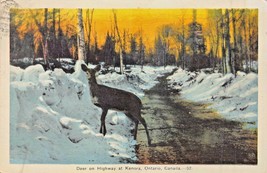 Kenora Ontario Canada~Deer On Snowy HIGHWAY~1941 Pstmk Postcard - £4.07 GBP