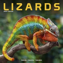 Lizards 2025 Square Wall Calendar | Animal, Reptile Calendar: Original A... - £13.42 GBP