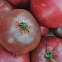 Fresh Seeds USA Seller Cherokee Purple Tomato 25 Seeds - $6.38