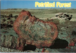 Petrified Forest National Park Arizona Postcard - £3.53 GBP