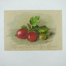 Victorian Christmas Card Red &amp; Green Gooseberry Fruit Bunch Leaves Antiq... - £4.68 GBP