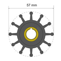 Albin Group Premium Impeller Kit 57 x 12.7 x 20mm - 12 Blade - Key Insert [06-01 - £18.22 GBP