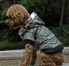 Cross-border pet supplies pet clothes dog clothes autumn and winter fur collar c - £13.24 GBP+