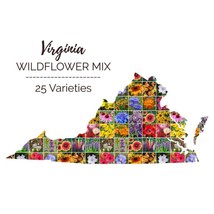 SGHOST Wildflower Virginia State Mix Perennials &amp;Annuals 25 Species Non Gmo 1000 - £7.14 GBP