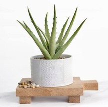  Artificial Agave Plant in White Ceramic Pot 10&quot; high Large Faux Agave i - £44.18 GBP