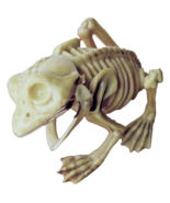 5” Fake Dead Pet FROG SKELETON BONES Amphibian Reptile Halloween Prop De... - $103.97 MXN