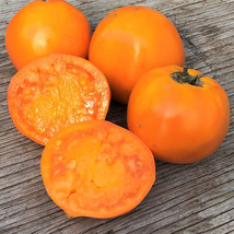 50 Seeds Golden Delight Tomato Juicy Tomatoe Vegetable Garden Edible Food - £4.92 GBP