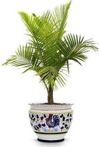 Cachepot Planter Vase Deruta Majolica Orvieto Rooster Large Green Ceramic - £366.44 GBP