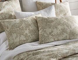 Linden Street Ashbrook King Shams 20&quot;x36&quot;Goldish Beige Paisley Cotton BNWOT - $715.81 MXN